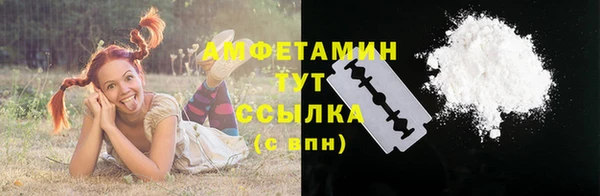 амф Богданович