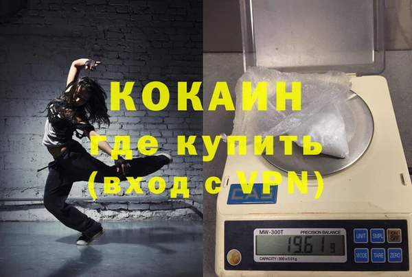гидра Дрезна