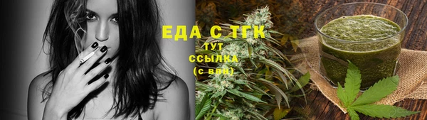 индика Бугульма