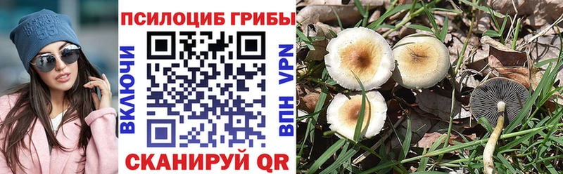 Псилоцибиновые грибы Magic Shrooms  купить наркотики цена  Губкинский 