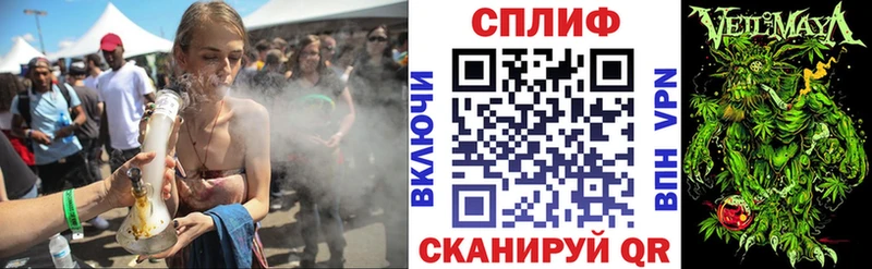 закладка  Губкинский  Каннабис сатива 